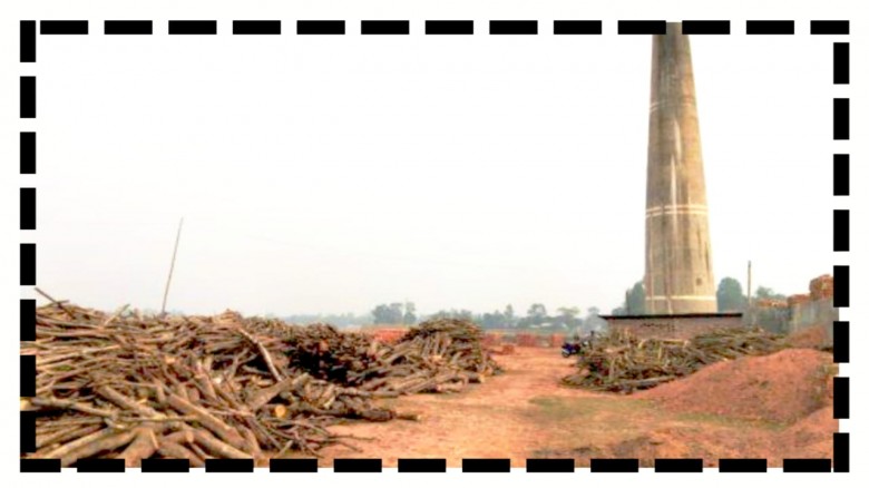 পীরগঞ্জে ইটভাটার প্রস্তুতি: কাঠ পোড়ানোয় পরিবেশে বাড়ছে অশনিসংকেত