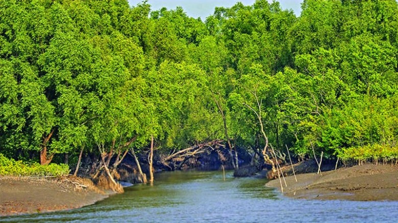 অপহরণের প্রায় তিন সপ্তাহ পর   মুক্তিপন দিয়ে ফিরেছে ১৪ জেলে, এখন ও জিম্মি ১২