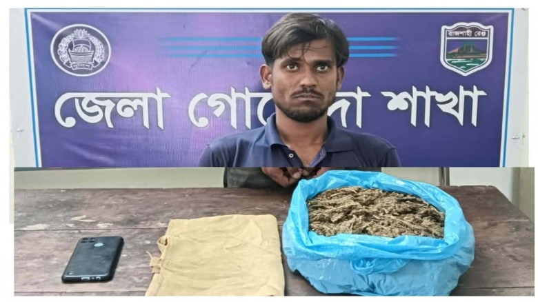 চাঁপাইনবাবগঞ্জে গাঁজাসহ একজন আটক