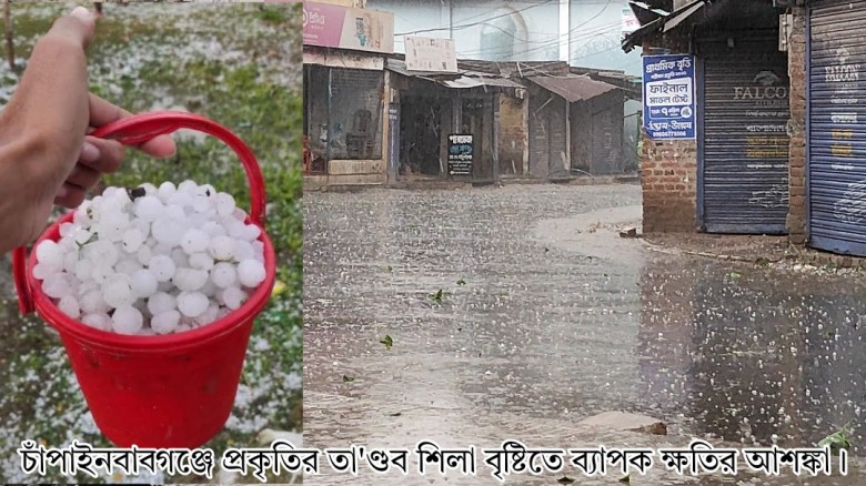 চাঁপাইনবাবগঞ্জে প্রকৃতির তা'ণ্ডব শিলা বৃষ্টিতে ব্যাপক ক্ষতির আশঙ্কা,