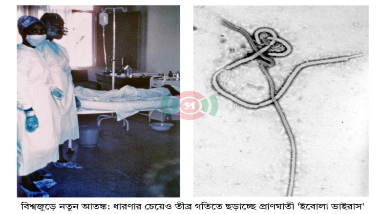 বিশ্বজুড়ে নতুন আতঙ্ক: ধারণার চেয়েও তীব্র গতিতে ছড়াচ্ছে প্রাণঘাতী 'ইবোলা ভাইরাস'