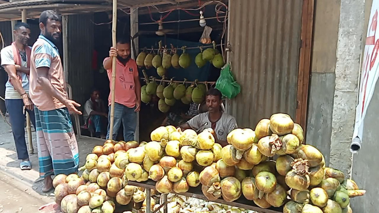 গরমে নাভিশ্বাস নাগরপুরে, স্বস্তির খোঁজে তালের আঁটিতে ভিড়