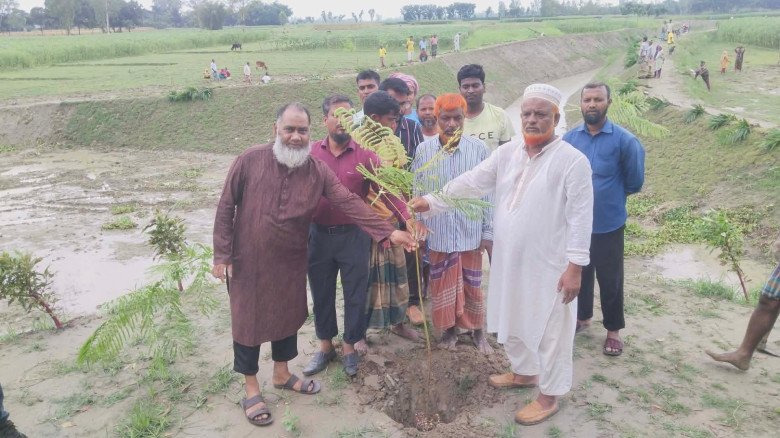 পরিবেশ রক্ষায় পীরগঞ্জে খাল খননের পর দুই ধারে ৭ হাজার গাছ রোপণ