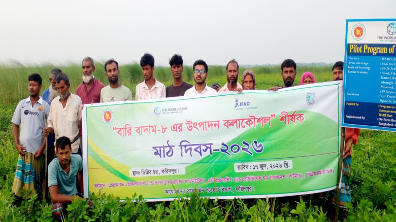 ফরিদপুর চরাঞ্চলে বারি চিনাবাদাম-৮ এর উপর মাঠ দিবস