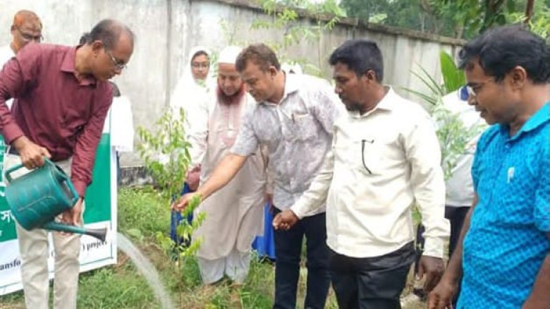 বিশ্ব পরিবেশ দিবসে ঝিকরগাছার গদখালীতে সবুজ উৎসব বৃক্ষরোপণ ও কুইজ প্রতিযোগিতা
