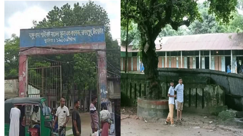 ছবির ক্যাপশন: 