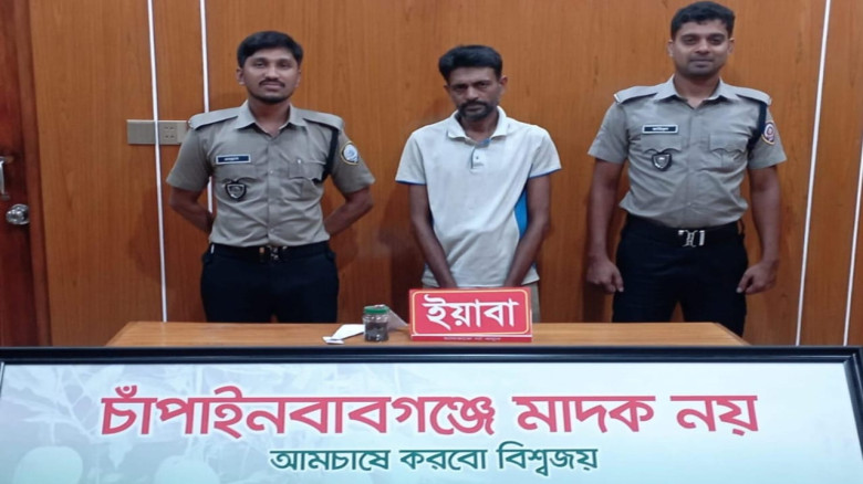 চাঁপাইনবাবগঞ্জে ডিএনসির অভিযানে ইয়াবাসহ মাদক কারবারি আটক