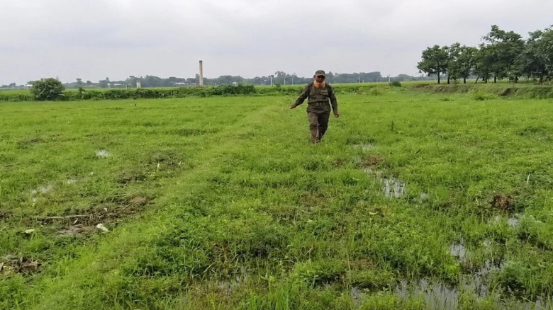 ঠাকুরগাঁওয়ের পীরগঞ্জে সংরক্ষিত বনভূমির ১০ হাজার চারাগাছ উপড়ে নদীতে ফেলে দিল দুর্বৃত্তরা