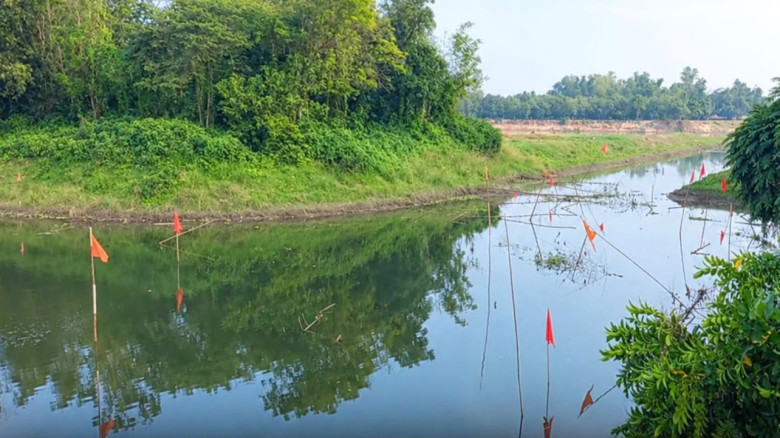 ঠাকুরগাঁওয়ের পীরগঞ্জে পলি জমে ভরাট টাঙ্গন নদী: কদমতলীতে বিলুপ্তির ঝুঁকিতে হাজারো মা মাছ