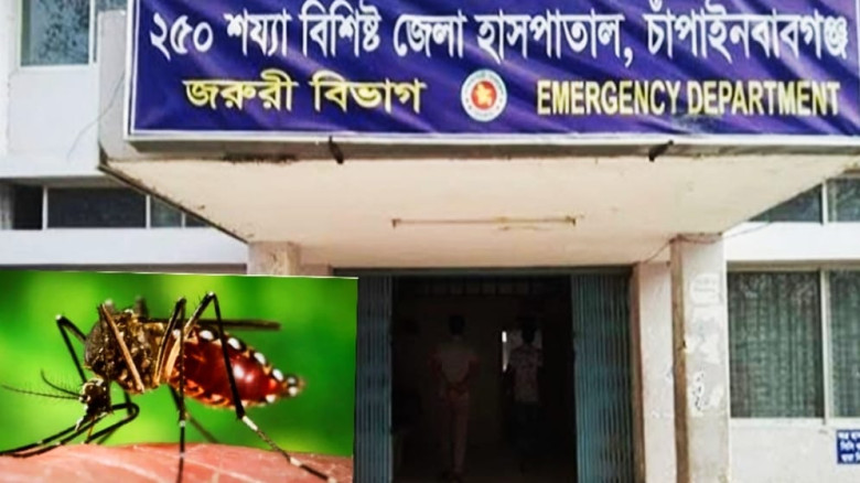 চাঁপাইনবাবগঞ্জে ২৪ ঘণ্টায় নতুন ডেঙ্গু রোগী ৩৯, মোট আক্রান্ত ২ হাজার ৬৮০